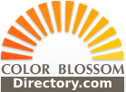 Color Blossom Directory.com